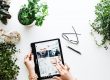 Bando e-commerce 2020