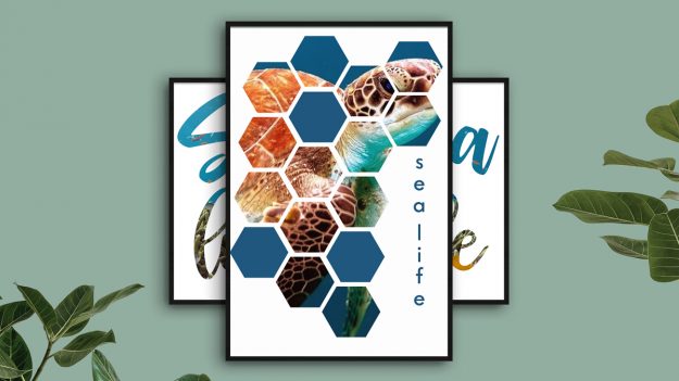 Sea-life Come creare una maschera di ritaglio con Illustrator