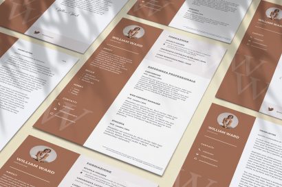 Visual cv canva