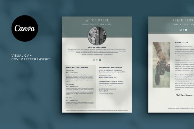 Visual-cv-grey